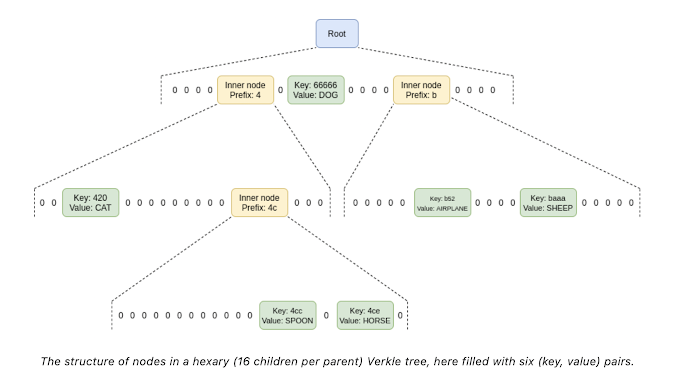 The structure of nodes in a hexary Verkle tree